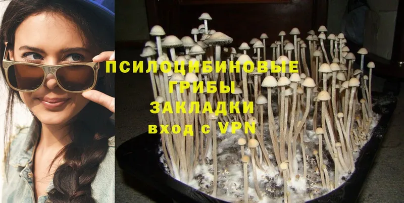 OMG ССЫЛКА  Азов  Псилоцибиновые грибы Cubensis 